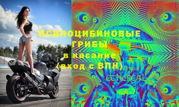 ECSTASY Балахна